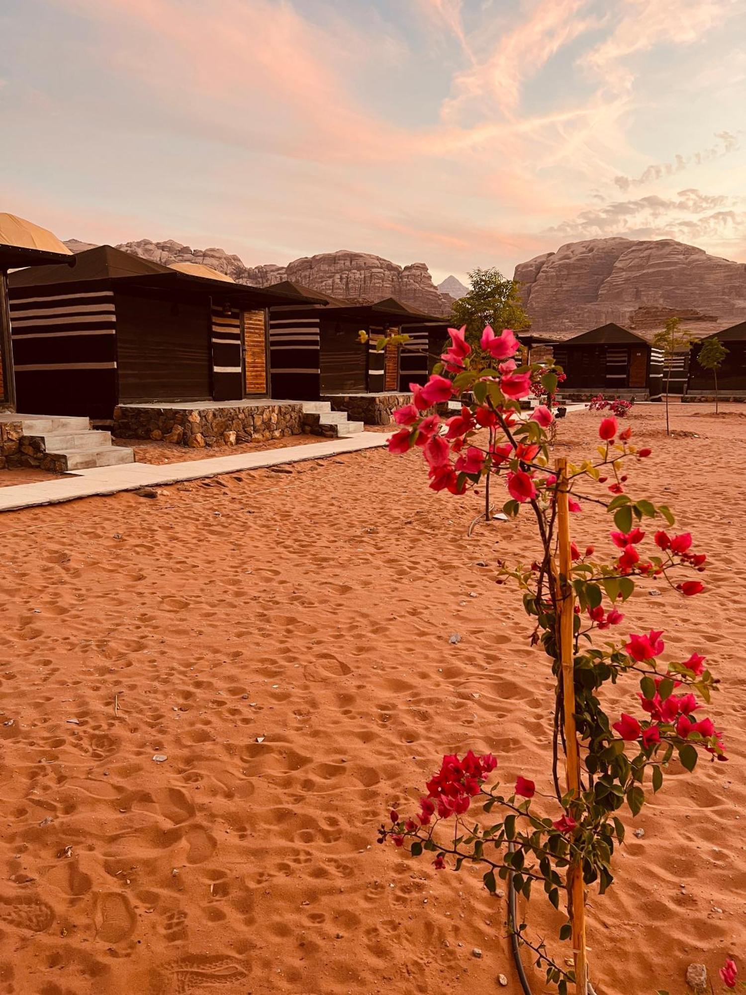 Revan Rum Luxury Camp วาดิรัม ภายนอก รูปภาพ