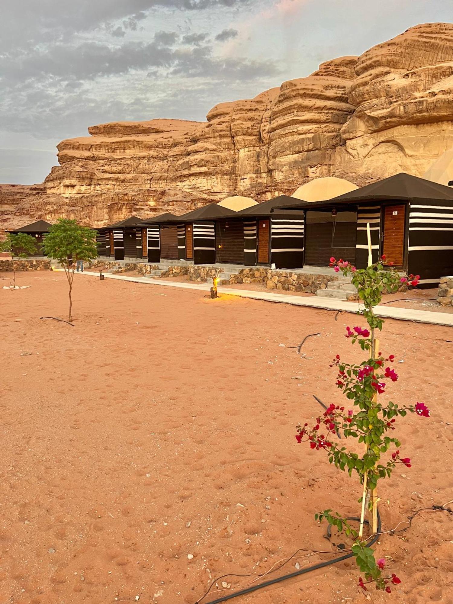 Revan Rum Luxury Camp วาดิรัม ภายนอก รูปภาพ