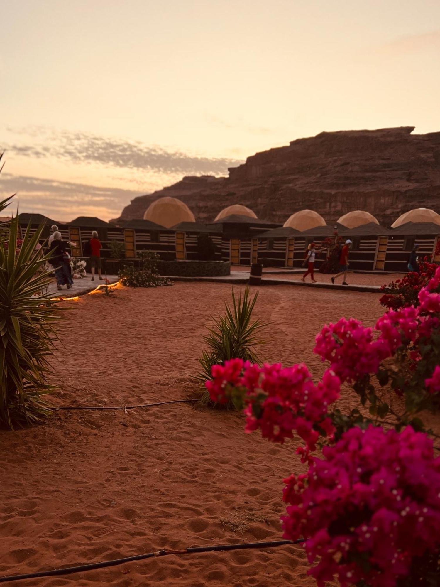 Revan Rum Luxury Camp วาดิรัม ภายนอก รูปภาพ