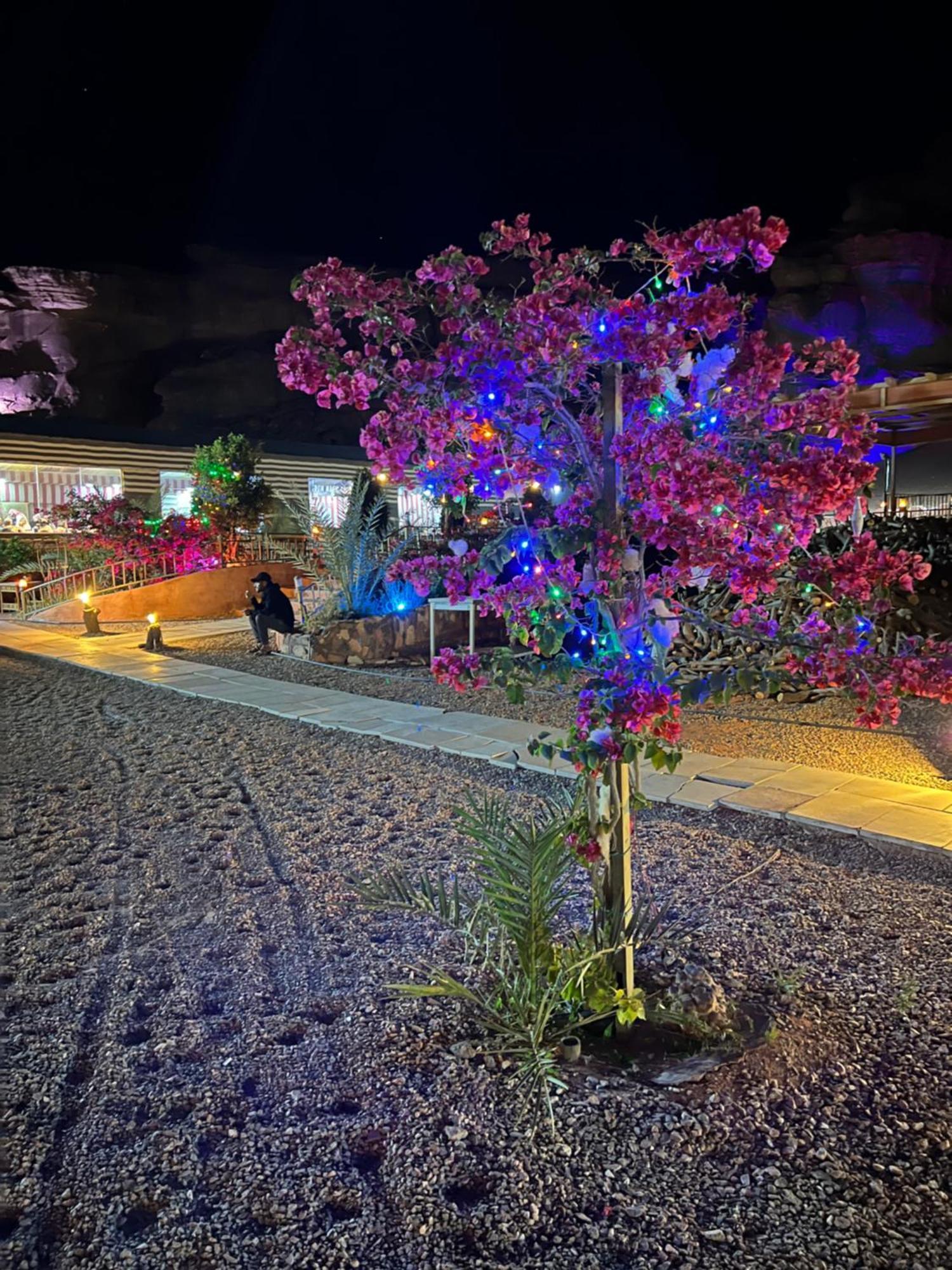 Revan Rum Luxury Camp วาดิรัม ภายนอก รูปภาพ